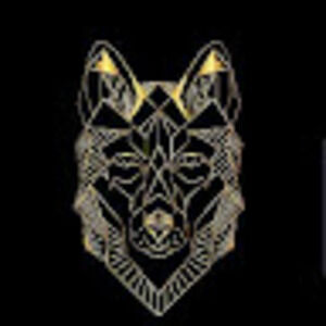 Meet your Posher, Golden wolf gaming